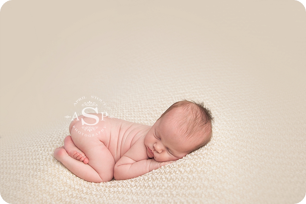 newborn-photographers-oklahoma