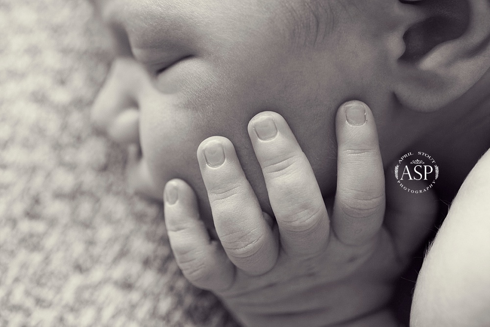 black-and-white-newborn-macro-photography