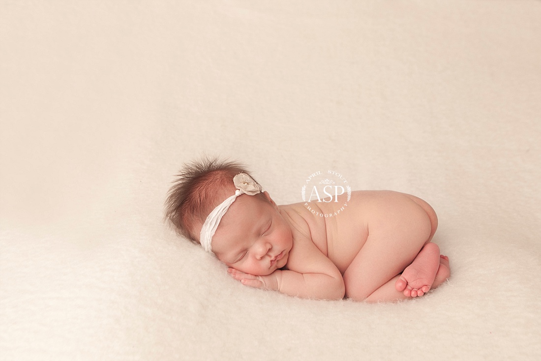 best-newborn-baby-photographers-United-States