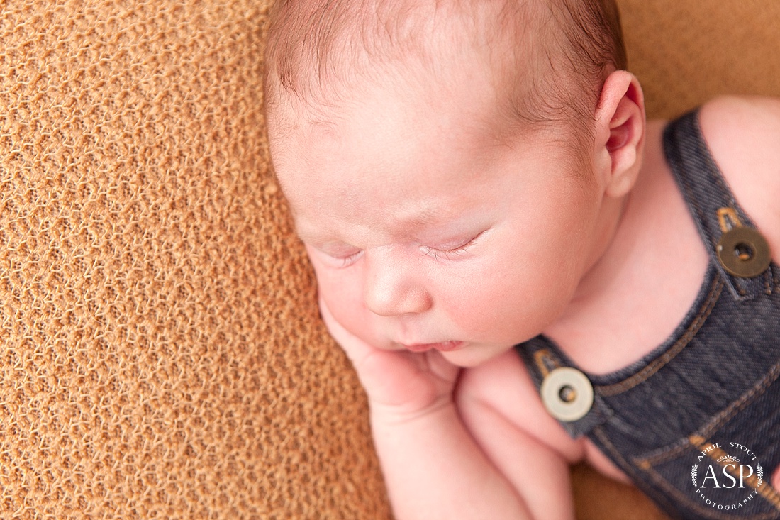 best-newborn-portraits-Oklahoma