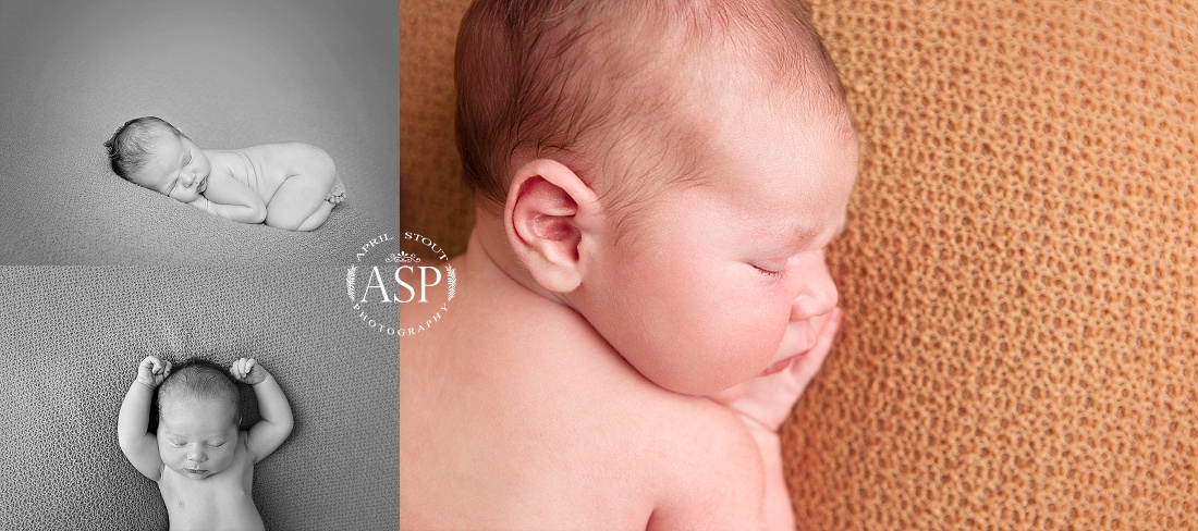 best-newborn-portraits-Oklahoma