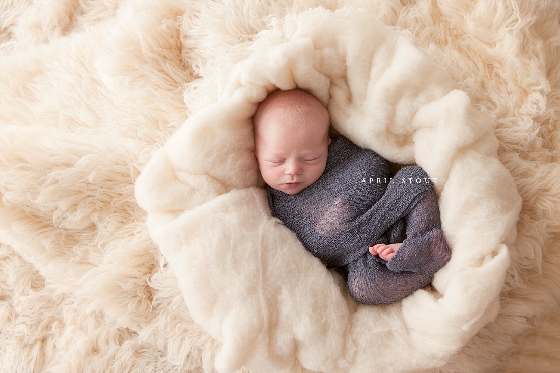 april-stout-newborn-baby-infant-photographer-portraits