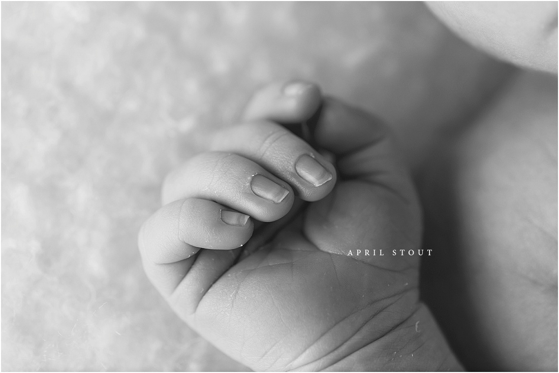 newborn-macro-images-photography-april-stout