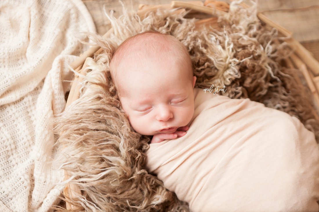 best-newborn-baby-infant-photographers-Oklahoma