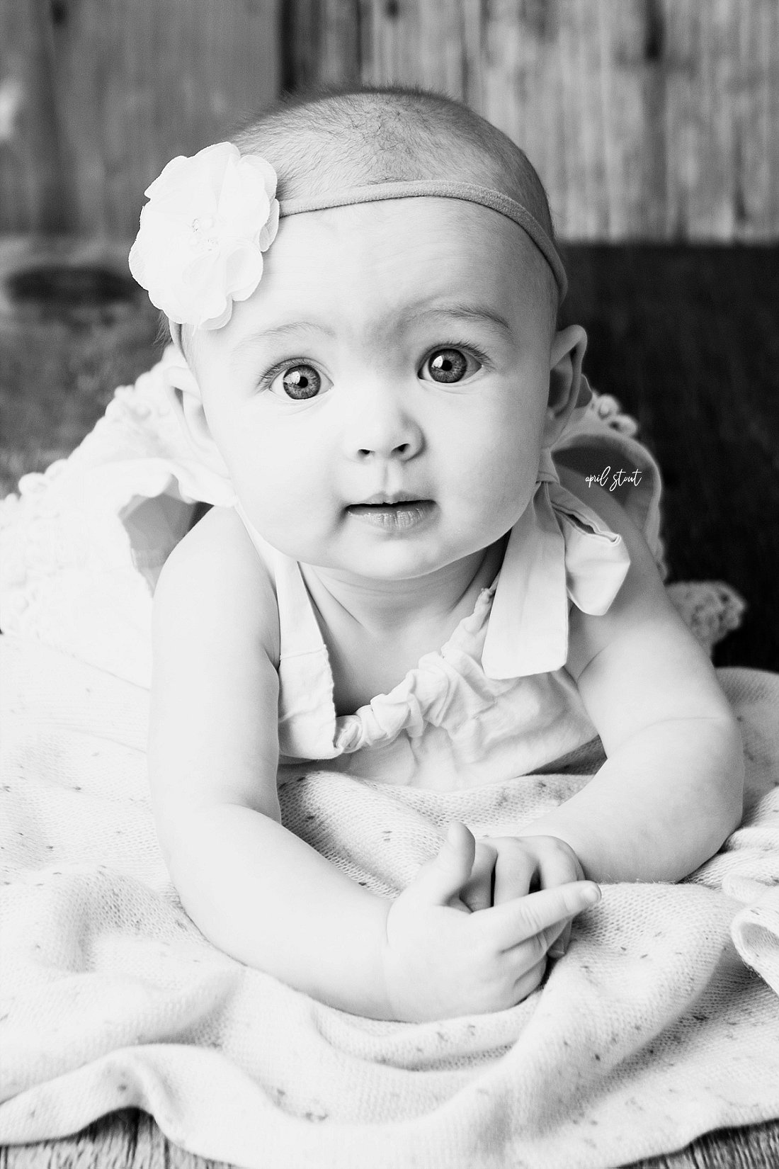 Oklahoma-baby-photographer-April-Stout-6-month-old-session