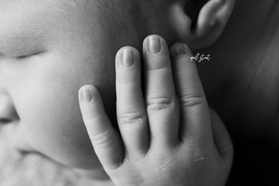 new-baby-hands-macro-photography-oklahoma