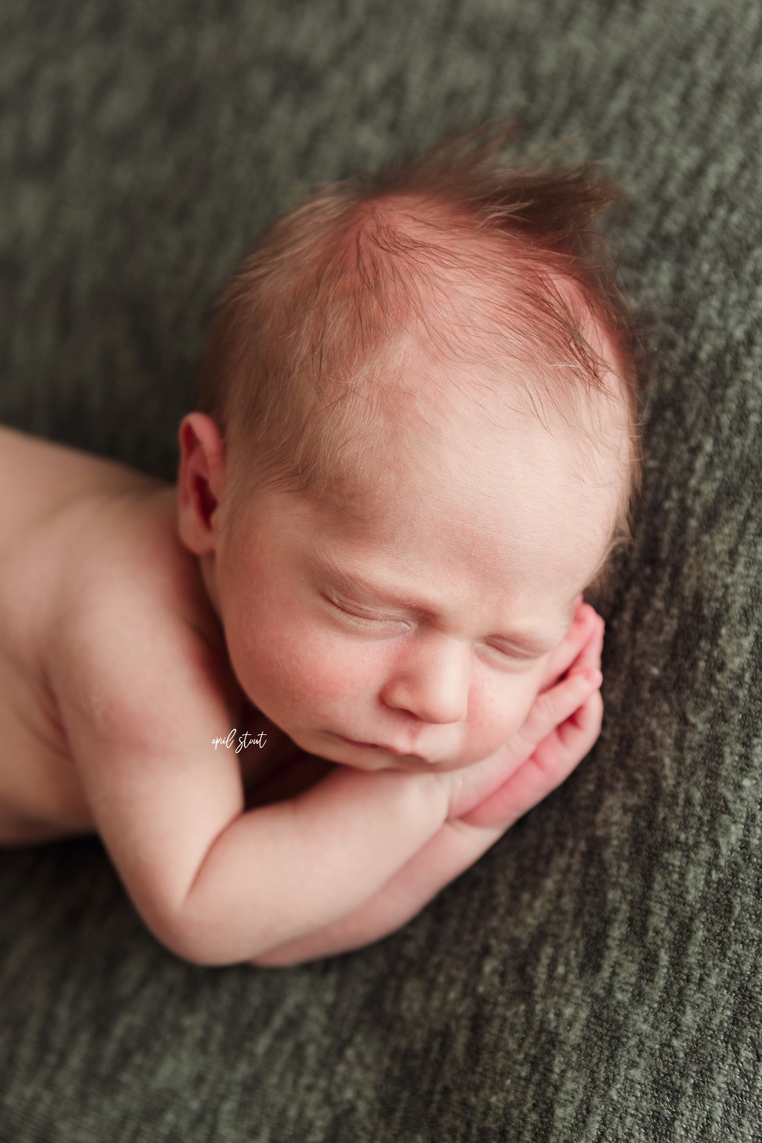 april-stout-baby-newborn-pictures-oklahoma