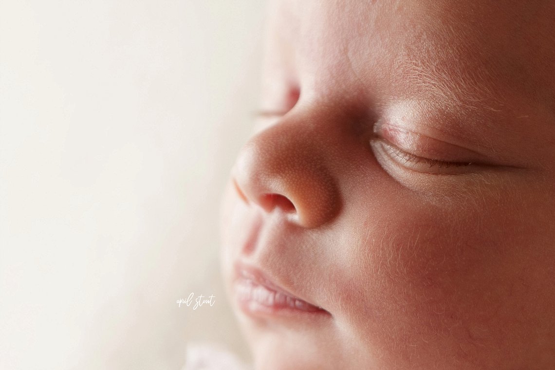 oklahoma newborn photographer April Stout