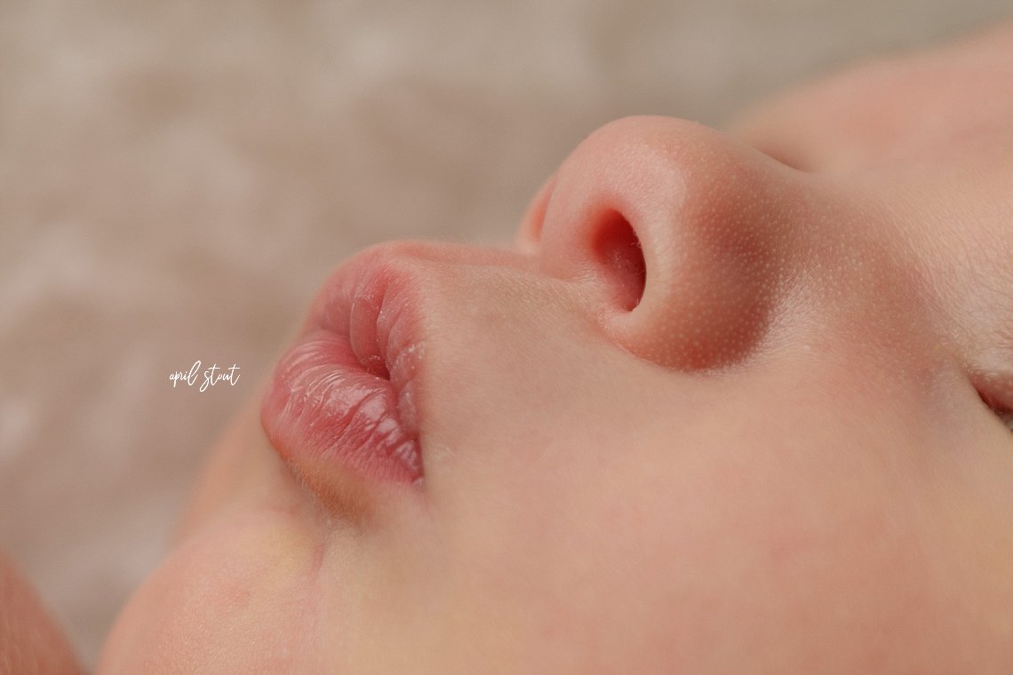 collinsville oklahoma newborn photographer