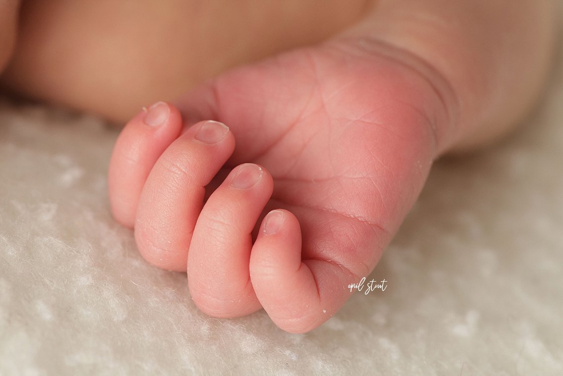 tulsa oklahoma newborn portraits tulsa police department