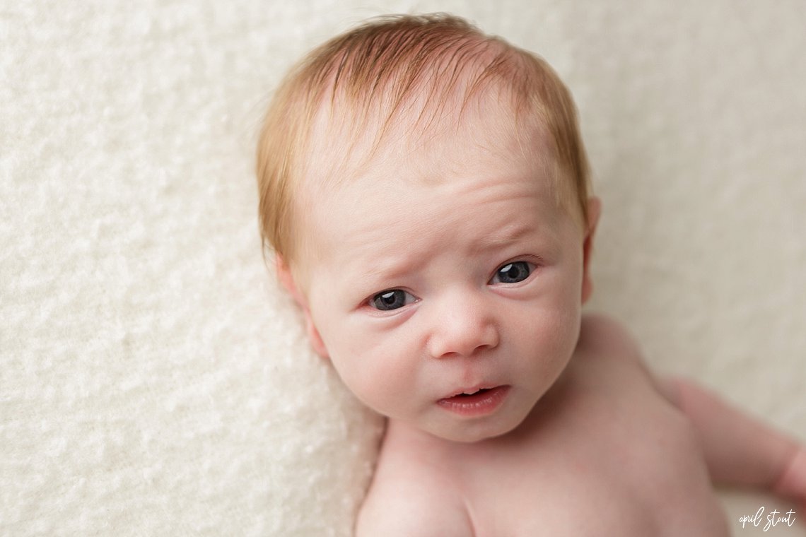 april stout newborn photographer Coweta Oklahoma