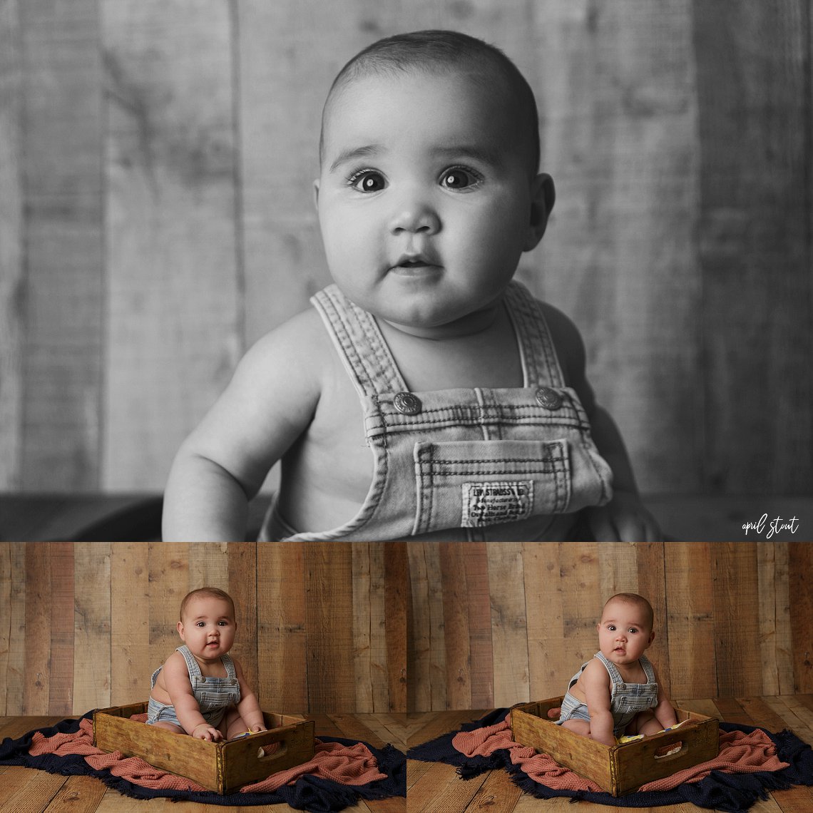 tulsa sitter session April Stout Photography 6 month old