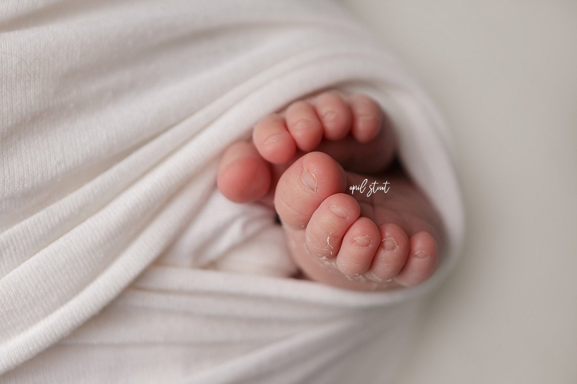 newborn baby feet april stout photography oklahoma